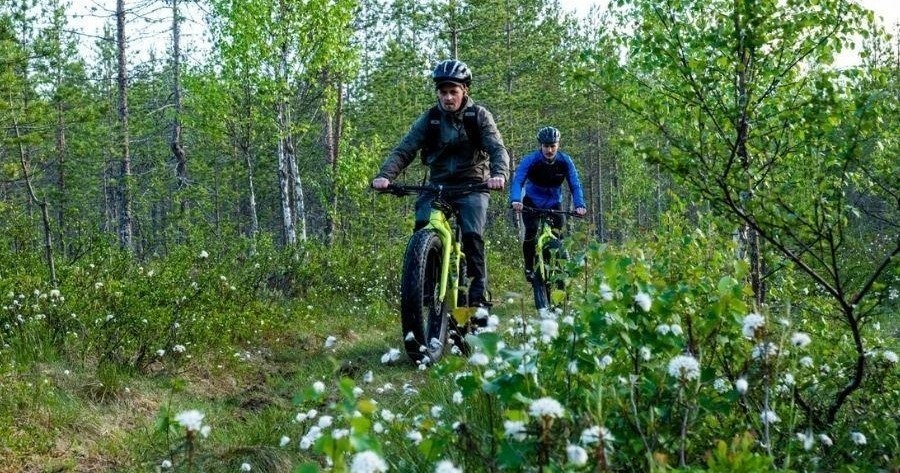 Electric Fat Biking Banff Adventure in Banff, AB | Radventures